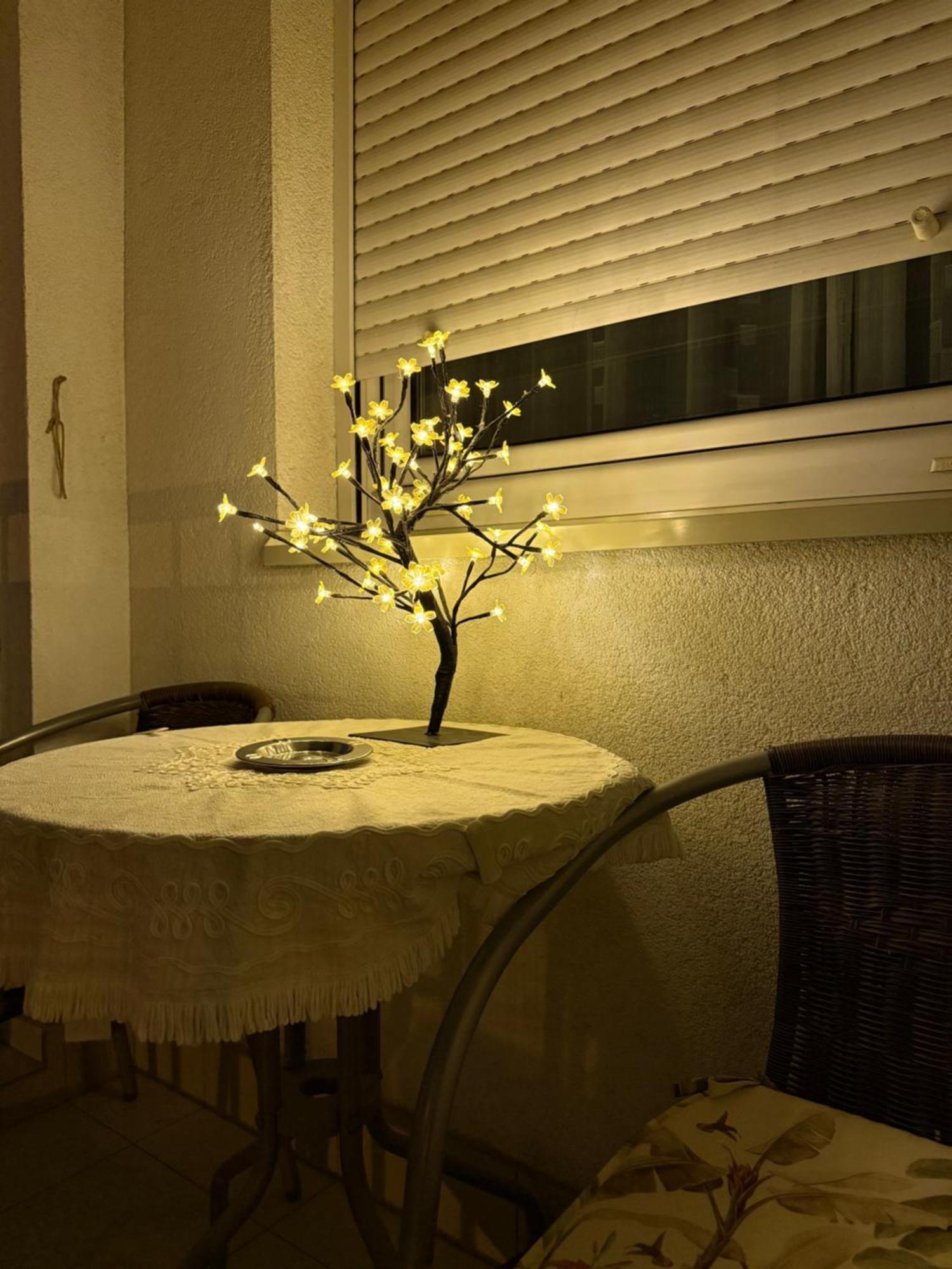 Barbara Apartman Belgrád Kültér fotó